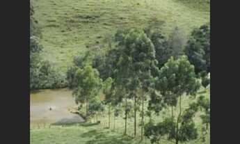 Imagem 2: Fazenda de 78 ha em Itaverava