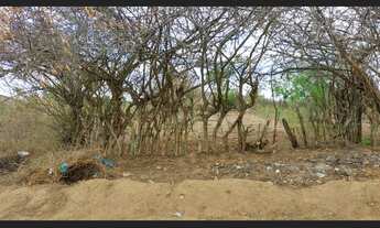 Imagem 5: TERRENO PALMEIRA DOS ÍNDIOS 7,5X16M