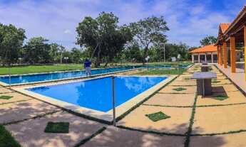 Imagem: Jardim dos Pássaros  Campo Maior