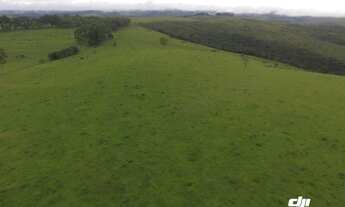 Imagem 2: VENDO FAZENDA (392he)-MINAS GERAIS