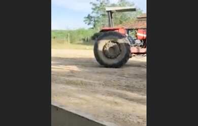 Imagem 2: FAZENDA 8.000 HECTARES EM PLENO FUNCIONAMENTO. 4.000 LITROS DE LEITE DIA