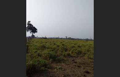 Imagem 8: Sítio em Triunfo