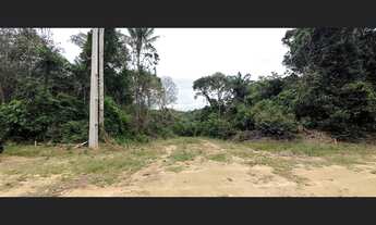 Imagem 5: Lote na estrada do Caldeirão próximo ao Jandira