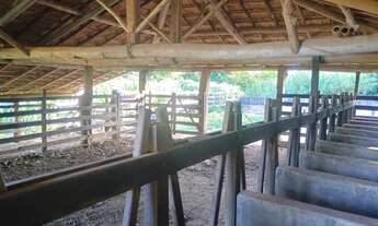 Imagem 5: Fazendinha de 14 há em Carmópolis do Cajuru MG