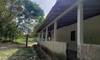 Imagem 5: R$ 200.000 sítio na alça viária a 30 km de Belém tem Pitaya e açaí plantados