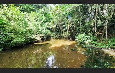 Imagem 6: SÍTIO COMPLETO 3 FIGUEIRA EM LAURENTINO - SC