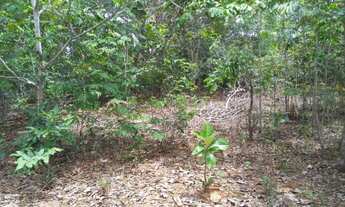 Imagem 4: Terreno Terreno / lote com venda por R$60.000