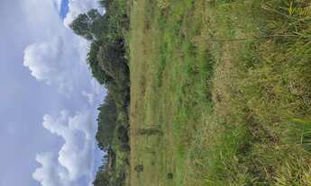 Imagem 3: Fazenda de 15 há em Desterro de Entre Rios MG