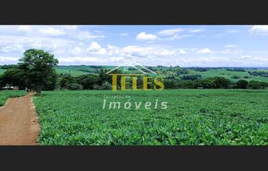 Imagem 6: Vende-se Sitio de 1.8 alq paulista em Jesuitas PR