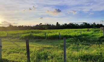 Imagem 7: Fazenda em União Bandeirantes