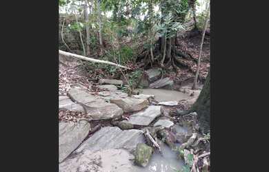 Imagem 7: Chácara 3 alqueire é Meio Sanclerlandia