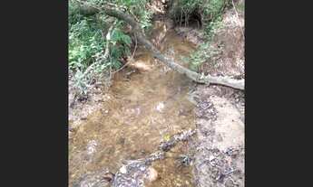 Imagem 2: Sítio 12,309 alqueires por R$ 1.100.000 - Zona Rural - Jacui/MG