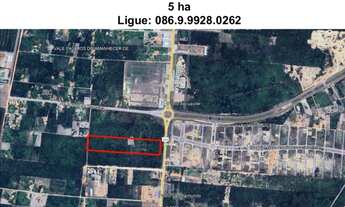 Imagem 2: Terreno de 5 ha Sabiazal-Parnaíba-Pi