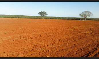 Imagem: 750 Alqs Dupla Aptidão Boa d Logística