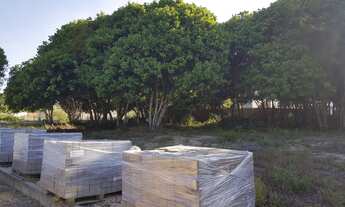 Imagem: Vendo Lote na Praia de Guriri
