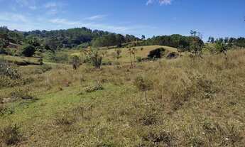 Imagem 7: Terreno de 10 há em Oliveira