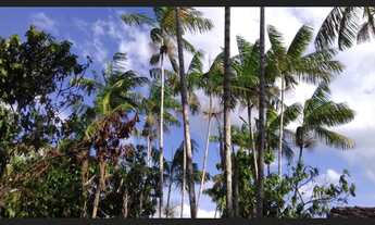 Imagem 5: Baixou 470 hectares na região norte do Pará por 1700 reais o hectare Documentada