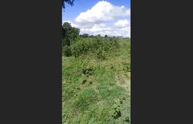 Imagem 4: Fazenda no Sul da Bahia, Una, 1100 Hectares ZAP 73999559555