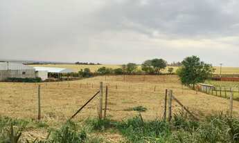 Imagem: OPORTUNIDADE ÚNICA  CHÁCARA COM ÁREA