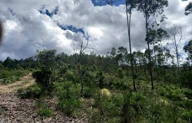 Imagem 4: Terreno de 15 ha em Passa Tempo MG