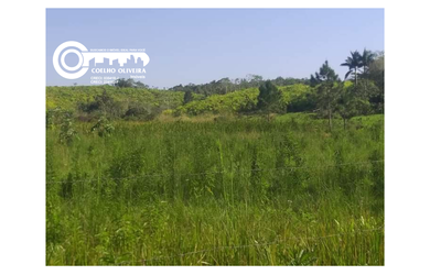 Imagem 6: Sítio em Pariquera-Açu