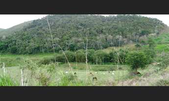 Imagem 2: Lote 1000 m² Jardins Continente Grama/Coronel Pacheco