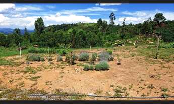 Imagem 4: Sítio à venda em Divinolândia - SP. R$650.000,00