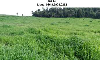 Imagem 3: Fazenda de 200 h em Teresina-Pi