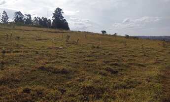 Imagem 5: Sitio 30 Alqueires Em São Carlos SP a Venda