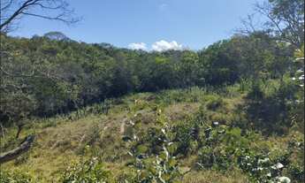 Imagem 5: Terreno de 13 há em Itaguara
