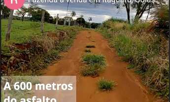 Imagem 2: Sitio em Itaguaru - Goiás - 9 alqueires