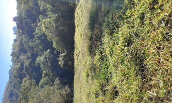 Imagem 4: Fazenda de 43 há em Rio Manso MG