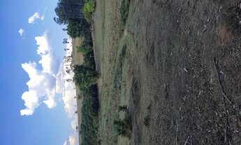 Imagem 7: Terreno de 49 há morro do ferro em Oliveira