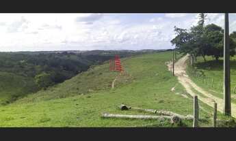 Imagem 3: Fazenda p/gado c/ 540 tarefas no Santa Luzia Itanhy no Povoado Bom Viver