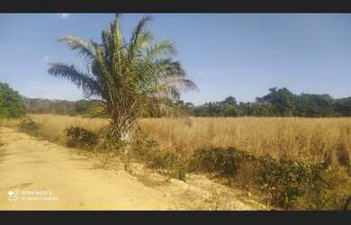 Imagem 2: 265 Alqs Ótima Água Terra e Logística Região Silvanópolis TO