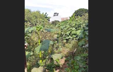 Imagem 4: Chácara no Vale Azul - Sarandi Pr