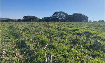 Imagem 5: Terreno de 32 há em Itaguara MG