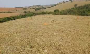 Imagem 4: Fazenda de 130 ha em Oliveira