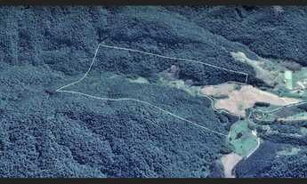Imagem 3: Área Rural à venda para Compensação Ambiental em Santa Terezinha SC
