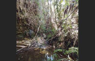 Imagem 3: Três hectares de paz e beleza na Serra do Intendente, com nascentes