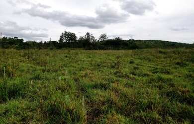 Imagem 4: Fazenda de 104 há em Itatiaiuçu MG