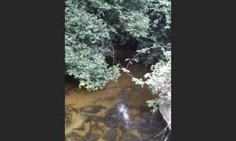 Imagem 2: Baixou 470 hectares na região norte do Pará por 1700 reais o hectare Documentada