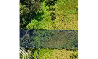Imagem 5: EXCELENTE CHÁCARA DISPONÍVEL PARA VENDA COM APENAS 2 KM DO CENTRO DE SÃO BENEDITO