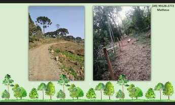 Imagem 4: VENDE-SE CHÁCARA