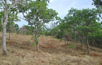 Imagem 6: Terreno de 40 mil mt em Itatiaiuçu MG