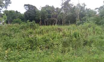 Imagem 5: Terreno c/ escritura na praia de Itanhaém