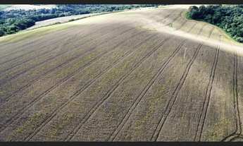 Imagem 2: FAZENDA À VENDA – PITANGA-PR