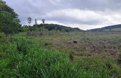 Imagem 3: Fazenda de 18 há em Carmópolis de Minas MG