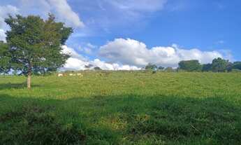 Imagem: Terreno de 50 há em Passa tempo MG