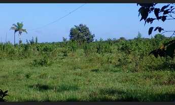 Imagem 5: R$ 1.300.000 mil reais 150 hectares há 45 km de Castanhal toda no pasto